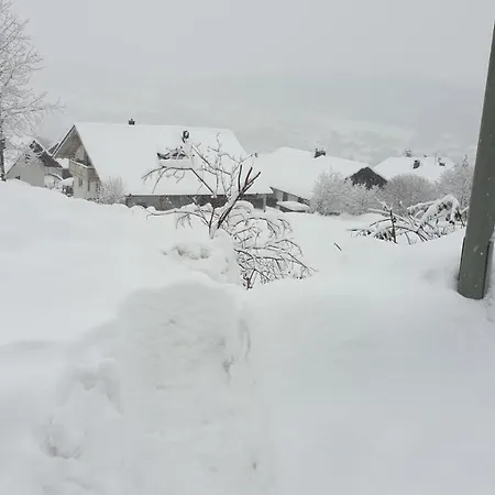 Apartment Berghof In Bayerischen Wald